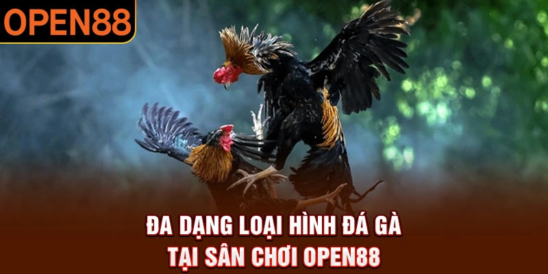 Các hình thức đá gà hot nhất tại Open88
